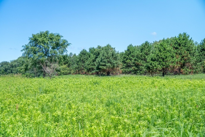 0 INLET RD, AMBOY, Illinois 61310, ,Land,For Sale,INLET RD,202604268