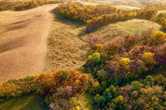 9001 Sundance, SAVANNA, Illinois 61074, ,Land,For Sale,Sundance,202604313