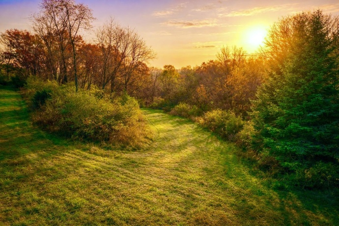 9001 Sundance, SAVANNA, Illinois 61074, ,Land,For Sale,Sundance,202604313