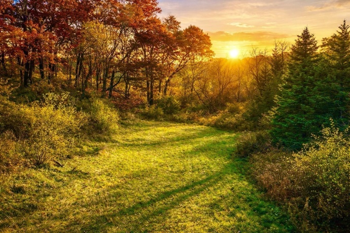 9001 Sundance, SAVANNA, Illinois 61074, ,Land,For Sale,Sundance,202604313