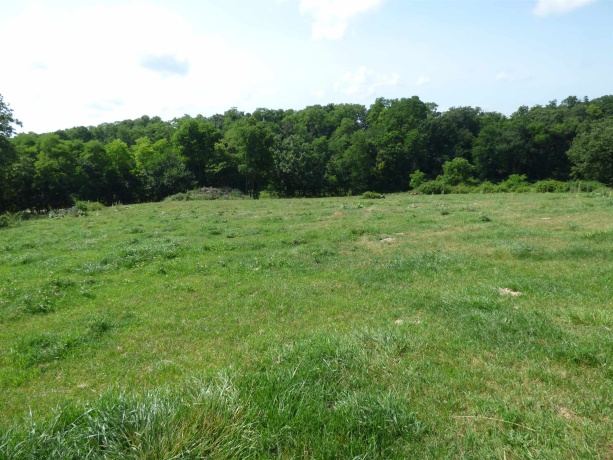 TBD Valley, EAST DUBUQUE, Illinois 61025, ,Land,For Sale,Valley,202604352