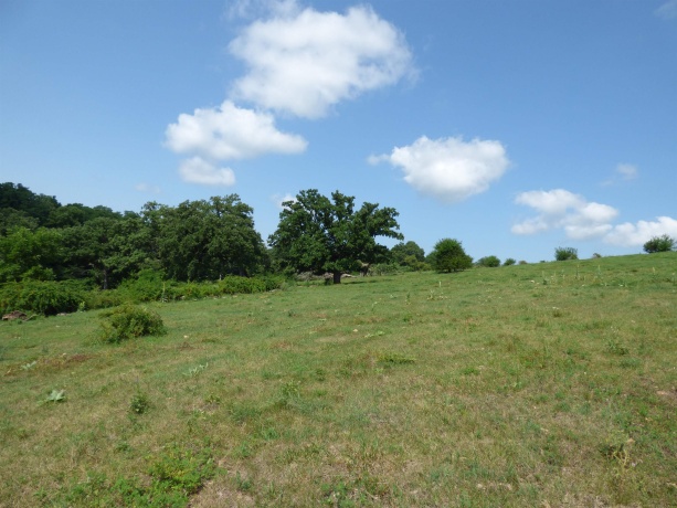TBD Valley, EAST DUBUQUE, Illinois 61025, ,Land,For Sale,Valley,202604352