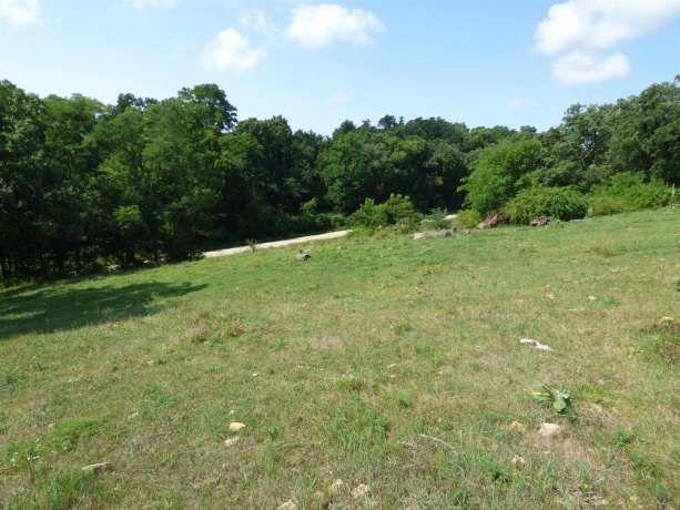 TBD Valley, EAST DUBUQUE, Illinois 61025, ,Land,For Sale,Valley,202604352