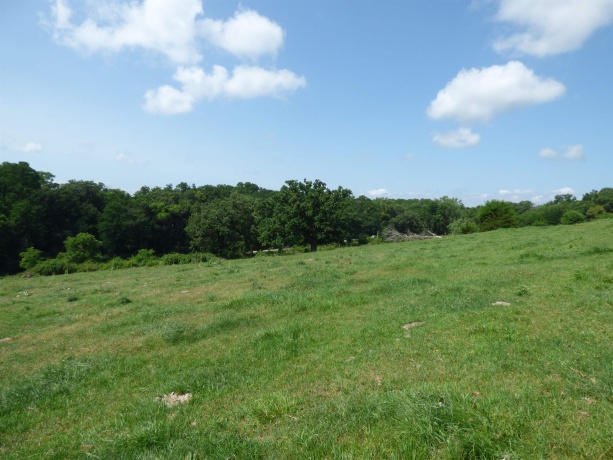 TBD Valley, EAST DUBUQUE, Illinois 61025, ,Land,For Sale,Valley,202604352