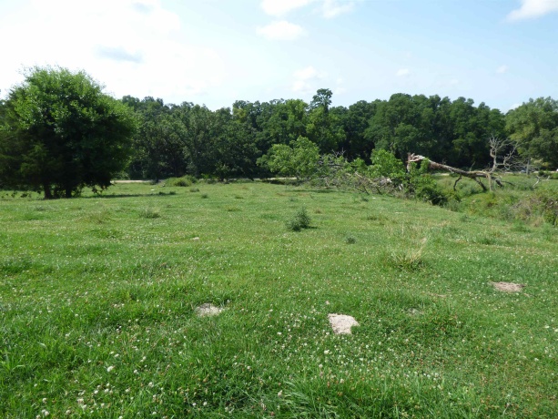 TBD Valley, EAST DUBUQUE, Illinois 61025, ,Land,For Sale,Valley,202604352