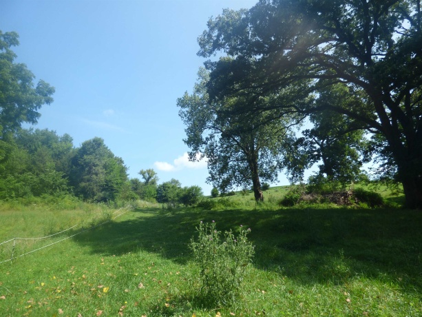 TBD Valley, EAST DUBUQUE, Illinois 61025, ,Land,For Sale,Valley,202604352