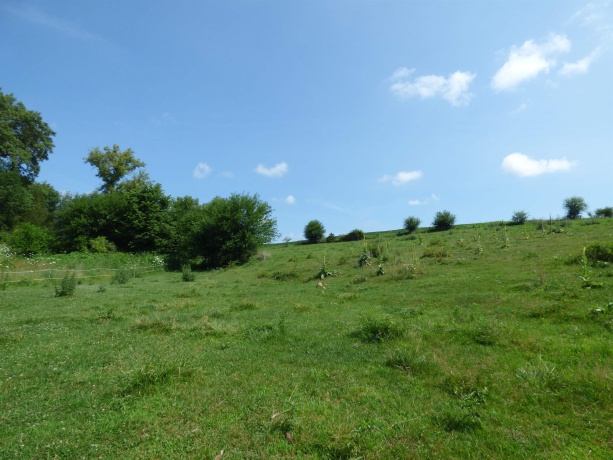 TBD Valley, EAST DUBUQUE, Illinois 61025, ,Land,For Sale,Valley,202604352