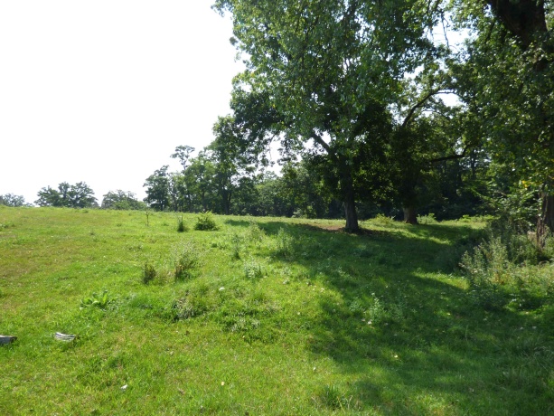 TBD Valley, EAST DUBUQUE, Illinois 61025, ,Land,For Sale,Valley,202604352