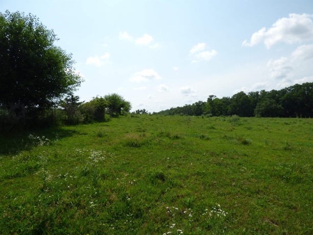 TBD Valley, EAST DUBUQUE, Illinois 61025, ,Land,For Sale,Valley,202604352