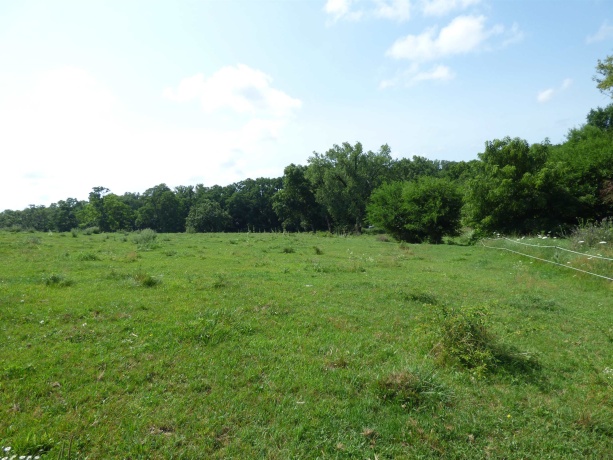 TBD Valley, EAST DUBUQUE, Illinois 61025, ,Land,For Sale,Valley,202604352