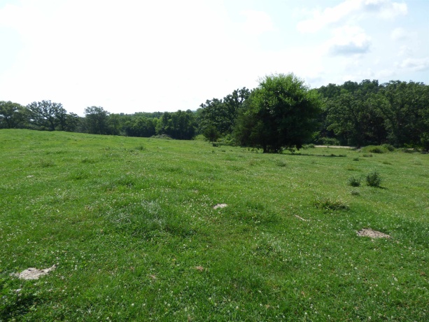 TBD Valley, EAST DUBUQUE, Illinois 61025, ,Land,For Sale,Valley,202604352