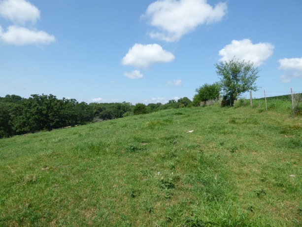 TBD Valley, EAST DUBUQUE, Illinois 61025, ,Land,For Sale,Valley,202604352