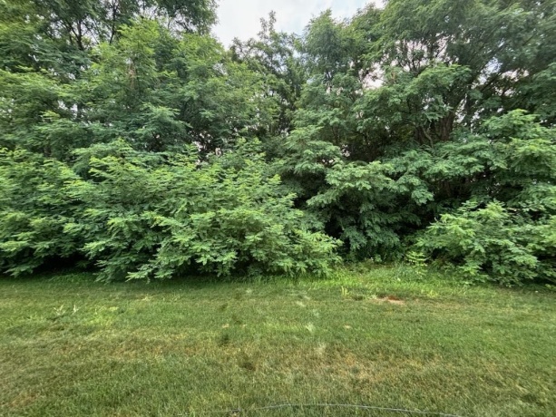 3506 Bell School, ROCKFORD, Illinois 61114, 3 Bedrooms Bedrooms, ,2 BathroomsBathrooms,Condominium,For Sale,Bell School,202604375