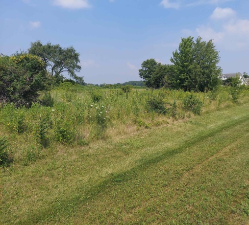 104 Kyle, KIRKLAND, Illinois 60146, ,Land,For Sale,Kyle,202604411