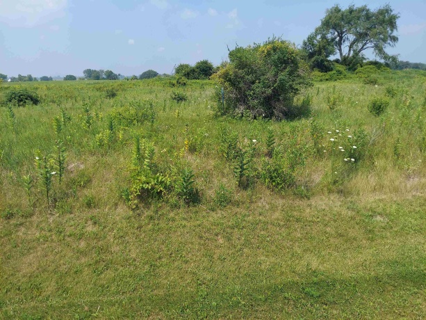 104 Kyle, KIRKLAND, Illinois 60146, ,Land,For Sale,Kyle,202604411