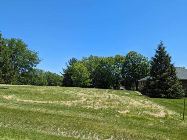 2350 Butternut, LAKE SUMMERSET, Illinois 61019, ,Land,For Sale,Butternut,202604489