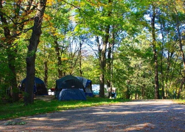 2350 Butternut, LAKE SUMMERSET, Illinois 61019, ,Land,For Sale,Butternut,202604489