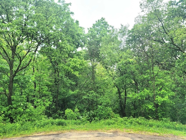 4 Hillside, GALENA, Illinois 61036, ,Land,For Sale,Hillside,202604565