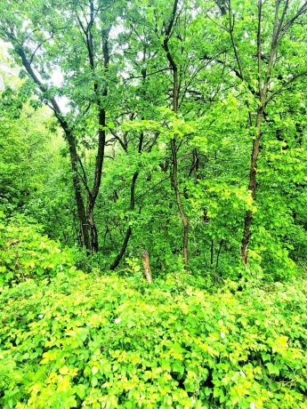 4 Hillside, GALENA, Illinois 61036, ,Land,For Sale,Hillside,202604565