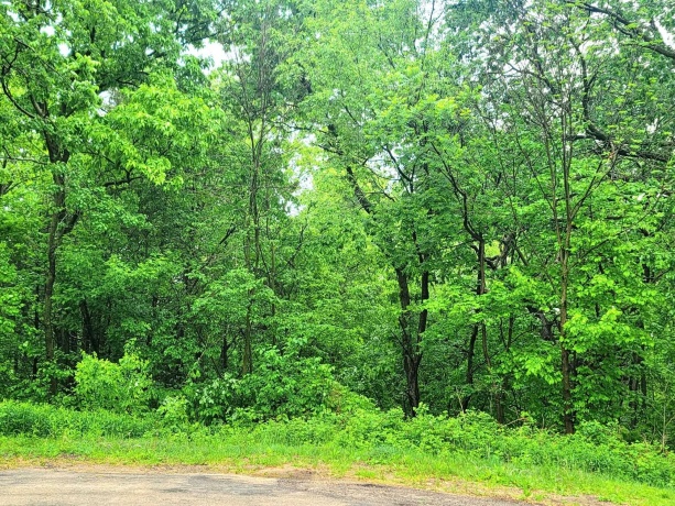 4 Hillside, GALENA, Illinois 61036, ,Land,For Sale,Hillside,202604565