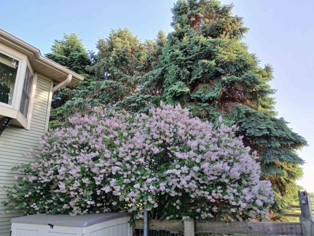 28-70 Lake Carroll, LAKE CARROLL, Illinois 61046, 4 Bedrooms Bedrooms, ,3 BathroomsBathrooms,House,For Sale,Lake Carroll,202604592
