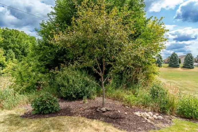 7897 Nesting Eagle, MACHESNEY PARK, Illinois 61115, 3 Bedrooms Bedrooms, ,2 BathroomsBathrooms,House,For Sale,Nesting Eagle,202604595