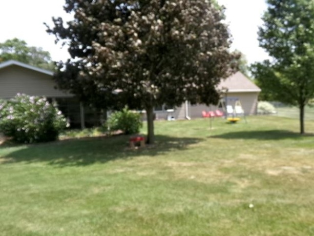1104 Benson Blvd., FREEPORT, Illinois 61032, 2 Bedrooms Bedrooms, ,2 BathroomsBathrooms,House,For Sale,Benson Blvd.,202604646