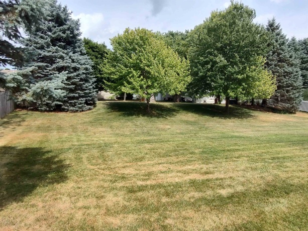 1174 Butler, ROCKFORD, Illinois 61108, 3 Bedrooms Bedrooms, ,2 BathroomsBathrooms,House,For Sale,Butler,202604658