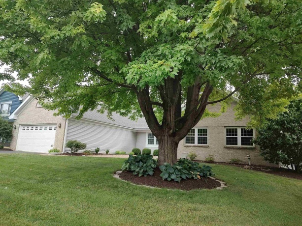 1174 Butler, ROCKFORD, Illinois 61108, 3 Bedrooms Bedrooms, ,2 BathroomsBathrooms,House,For Sale,Butler,202604658