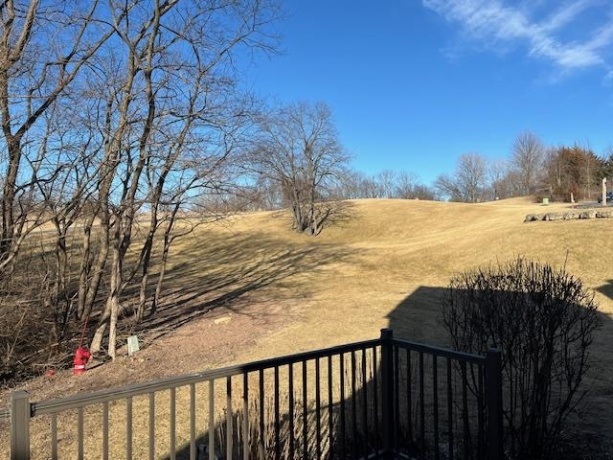 10 Farmstead, GALENA, Illinois 61036, 2 Bedrooms Bedrooms, ,2 BathroomsBathrooms,Condominium,For Sale,Farmstead,202604670