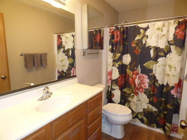 729 Meadow Ridge, LENA, Illinois 61048, 2 Bedrooms Bedrooms, ,1 BathroomBathrooms,House,For Sale,Meadow Ridge,202604703