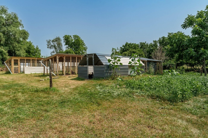 12361 Henderson, ORANGEVILLE, Illinois 61060, 4 Bedrooms Bedrooms, ,2 BathroomsBathrooms,House,For Sale,Henderson,202604712