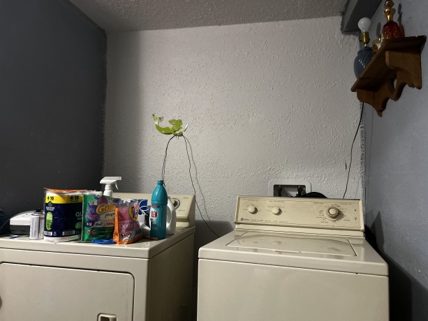 306 Green, POLO, Illinois 61064, 2 Bedrooms Bedrooms, ,1 BathroomBathrooms,House,For Sale,Green,202604753