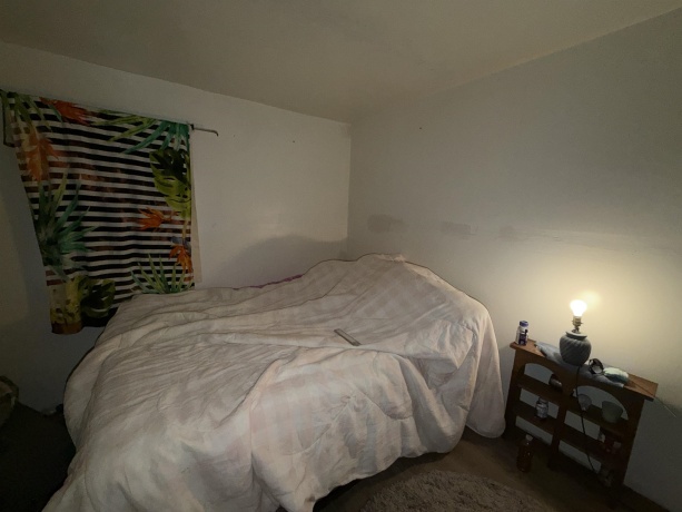 306 Green, POLO, Illinois 61064, 2 Bedrooms Bedrooms, ,1 BathroomBathrooms,House,For Sale,Green,202604753