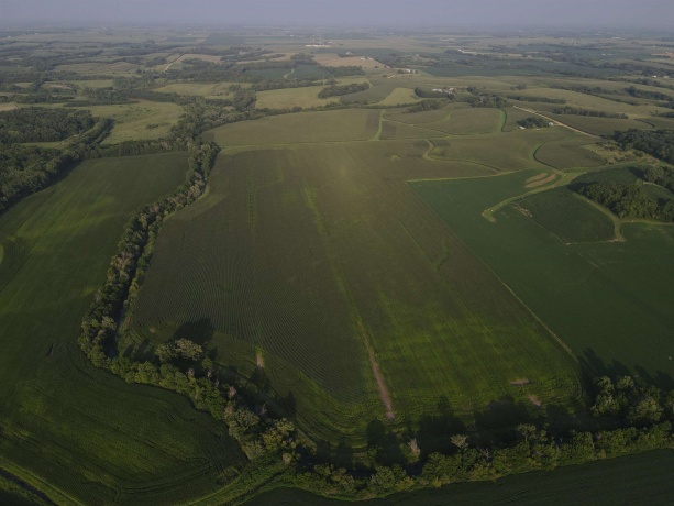 000 Capp, MORRISON, Illinois 61270, ,Land,For Sale,Capp,202604756