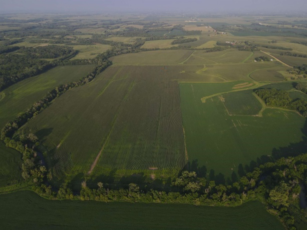 000 Capp, MORRISON, Illinois 61270, ,Land,For Sale,Capp,202604756