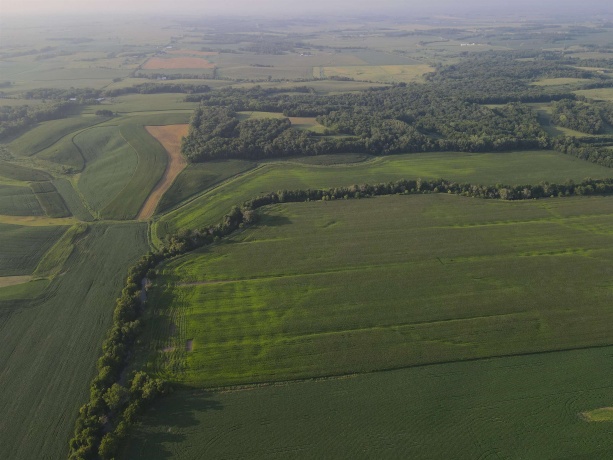 000 Capp, MORRISON, Illinois 61270, ,Land,For Sale,Capp,202604756
