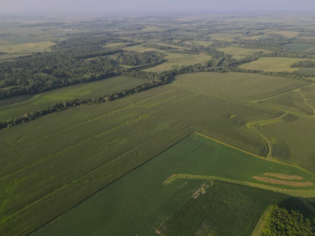 000 Capp, MORRISON, Illinois 61270, ,Land,For Sale,Capp,202604756