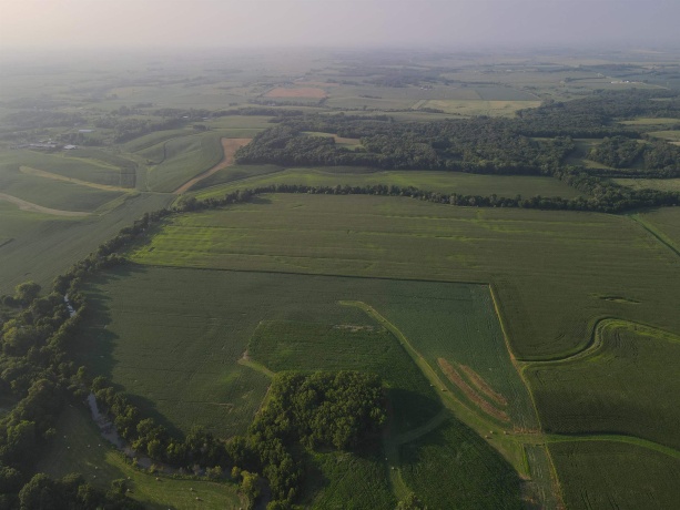 000 Capp, MORRISON, Illinois 61270, ,Land,For Sale,Capp,202604756