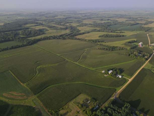 000 Capp, MORRISON, Illinois 61270, ,Land,For Sale,Capp,202604756