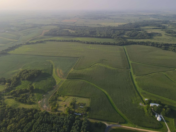 000 Capp, MORRISON, Illinois 61270, ,Land,For Sale,Capp,202604756