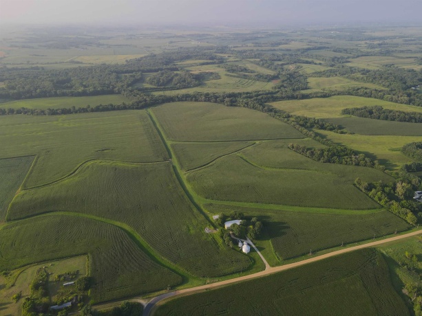 000 Capp, MORRISON, Illinois 61270, ,Land,For Sale,Capp,202604756