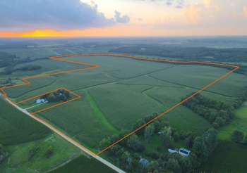 000 Capp, MORRISON, Illinois 61270, ,Land,For Sale,Capp,202604756