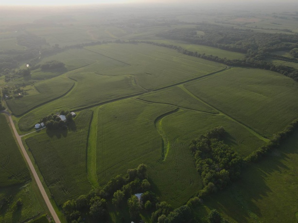 000 Capp, MORRISON, Illinois 61270, ,Land,For Sale,Capp,202604756