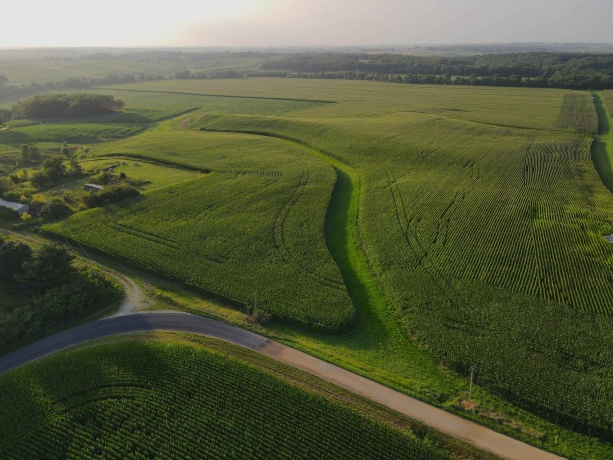 000 Capp, MORRISON, Illinois 61270, ,Land,For Sale,Capp,202604756