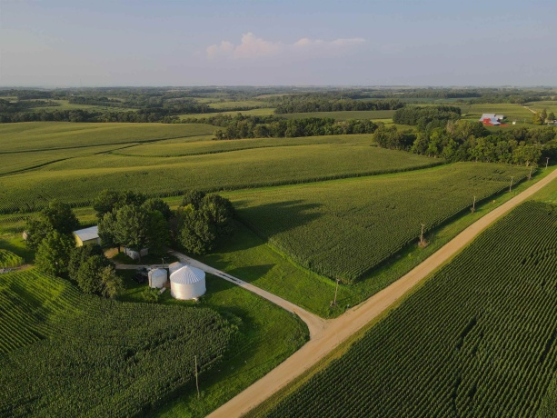 000 Capp, MORRISON, Illinois 61270, ,Land,For Sale,Capp,202604756