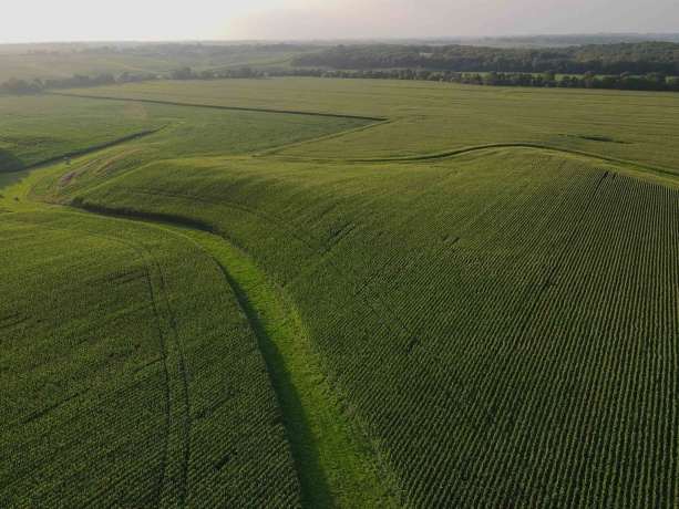 000 Capp, MORRISON, Illinois 61270, ,Land,For Sale,Capp,202604756