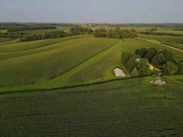 000 Capp, MORRISON, Illinois 61270, ,Land,For Sale,Capp,202604756
