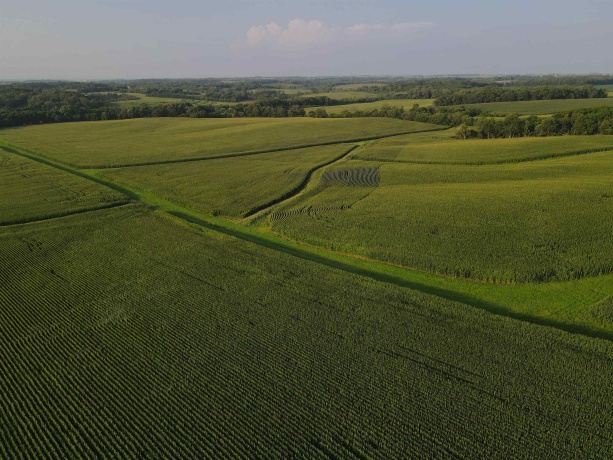 000 Capp, MORRISON, Illinois 61270, ,Land,For Sale,Capp,202604756