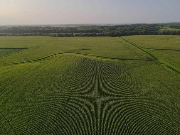 000 Capp, MORRISON, Illinois 61270, ,Land,For Sale,Capp,202604756